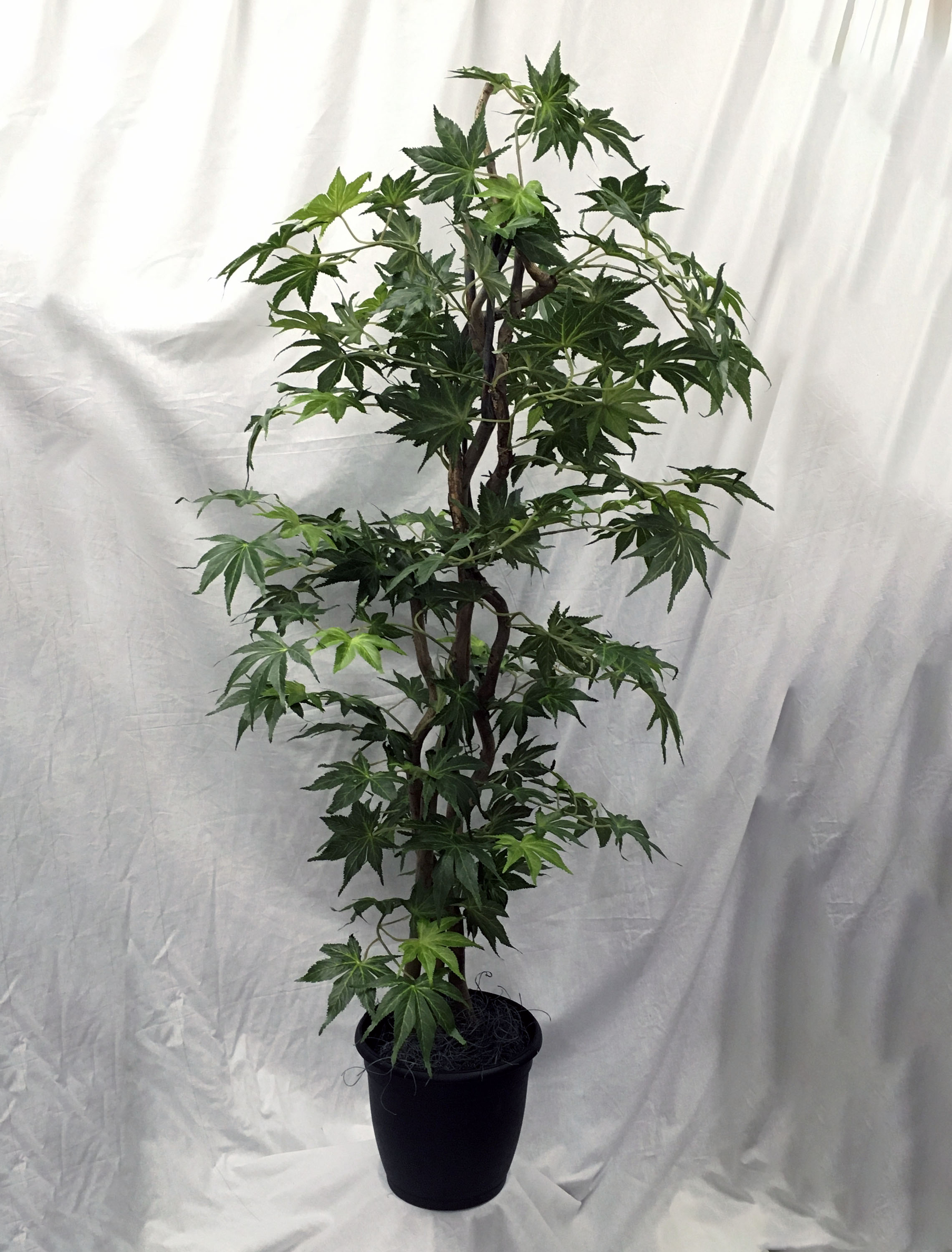 48 inch Artificial Silk Japanese Maple Marijuana Tree Custom Made