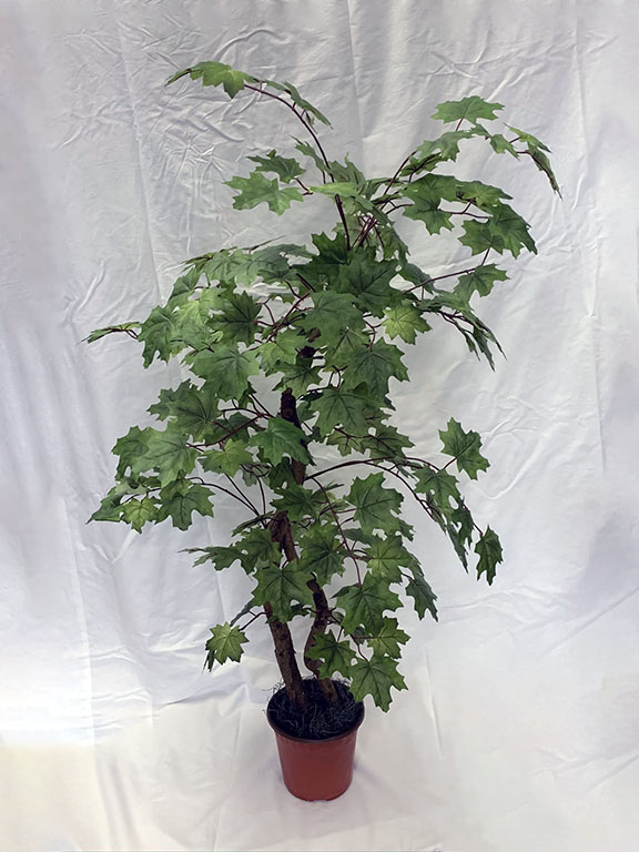 53 inch Artificial Silk Canadian Maple Tree Custom Made on Natural Wood