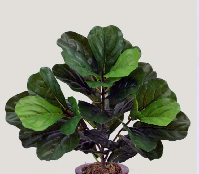22 inch Artificial Silk Fiddle Leaf Fig Plant with Real Touch Leaves-Silk Plants Canada
