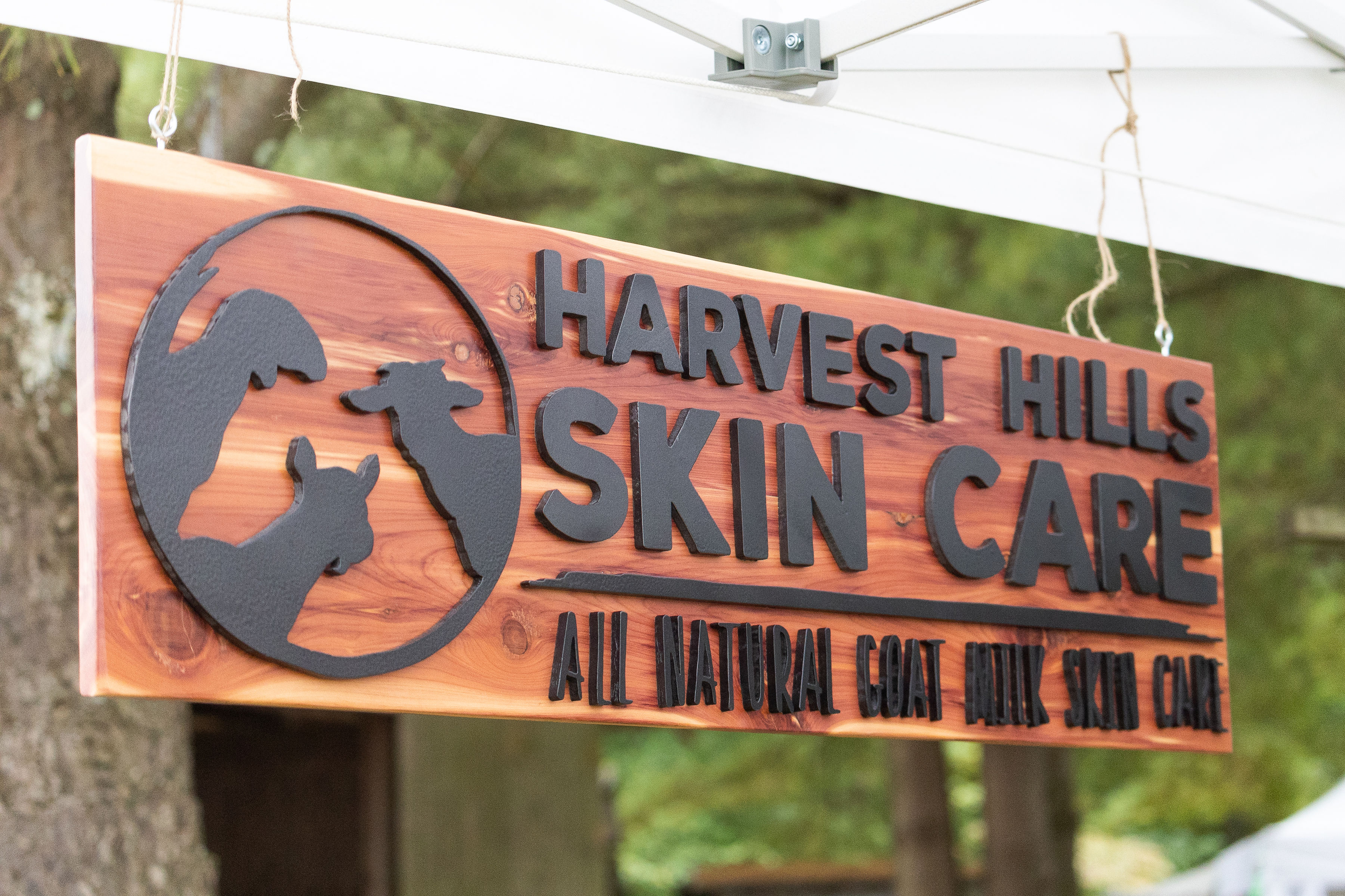 Harvest Hills goat milk skin care for healthy skn