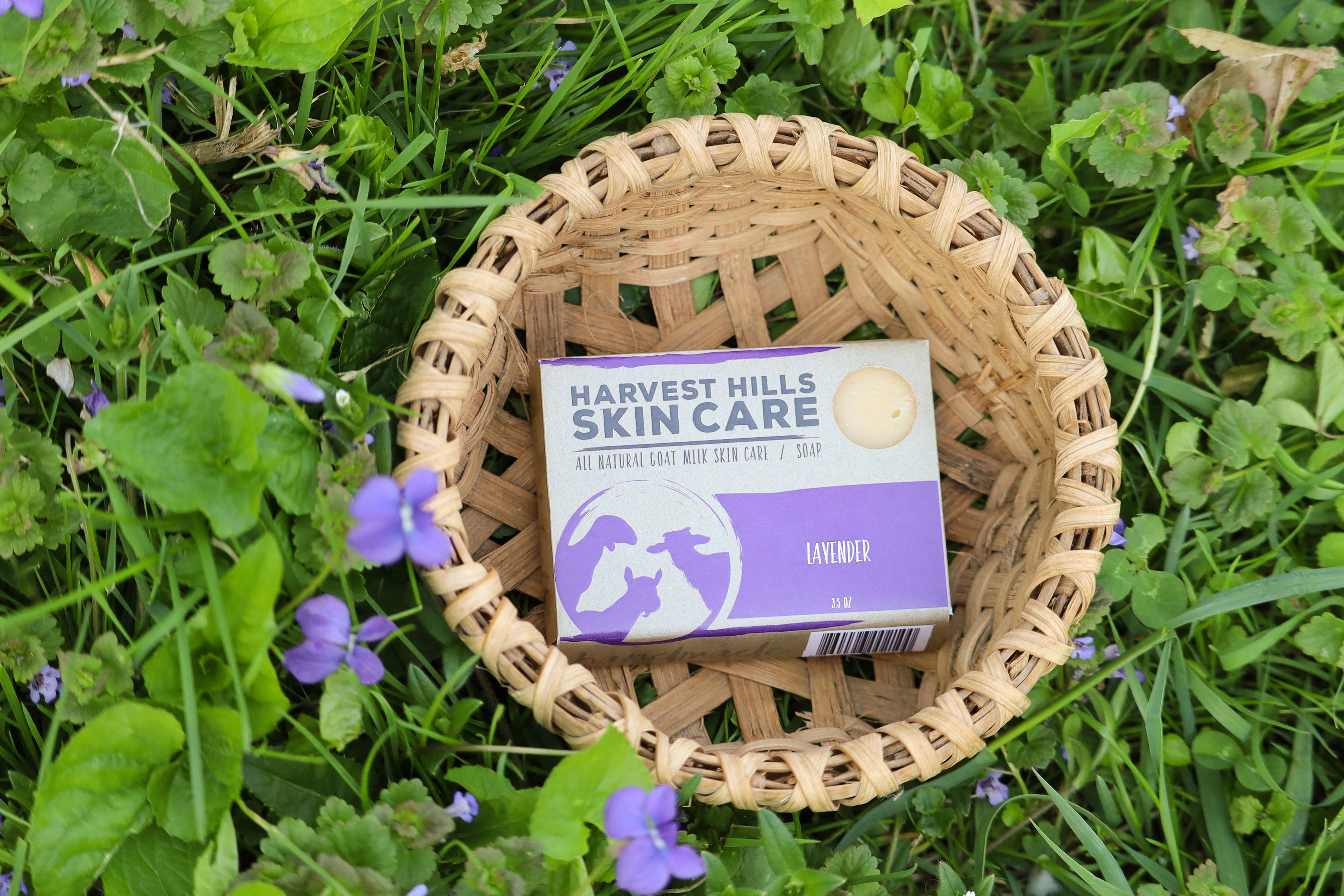 lavender goat milk soap for dry sensitive skin,