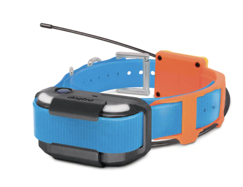 Blue GPS Dog Tracking Collar With Orange Accent