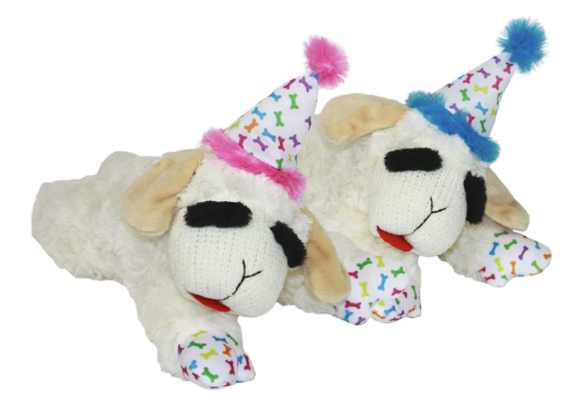 A white lamb dog toy with a pink or blue birthday hat with a fluff ball on top. paws match the print that is on the hat which is coloful dog bones.