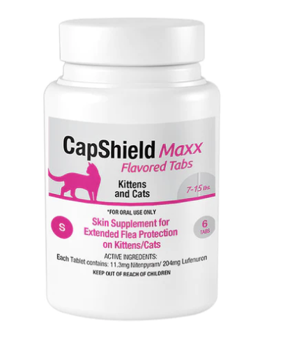 Small White bottle with pink accent and pink cat on front. ContainsCapShield Maxx Flavored Tabs Flea Supplement for Cats that weigh 7-15lbs. 6ct