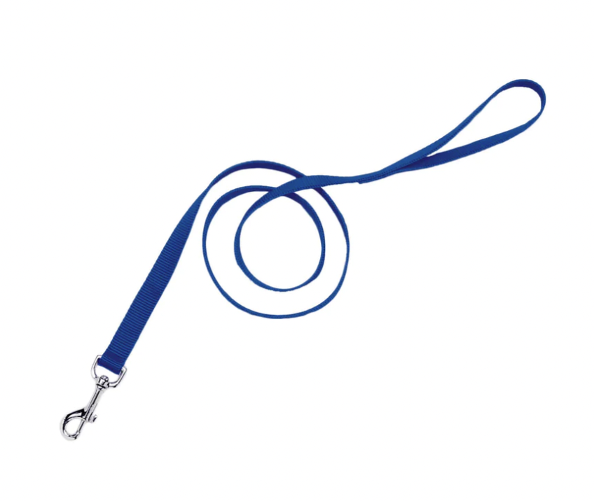 Blue nylon dog leash perfect for puppies and small dogs.