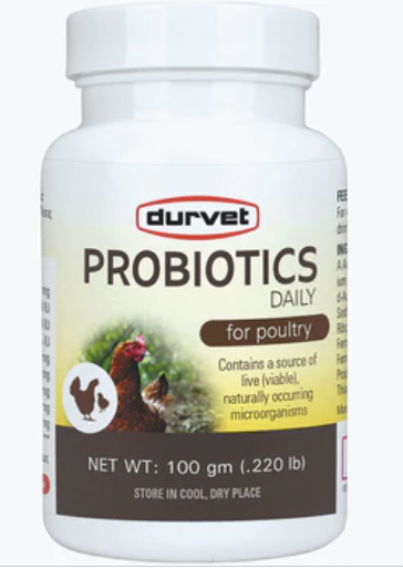 White bottle with yellow label filled with Durvet Healthy Flock Poultry Probiotics 100gm