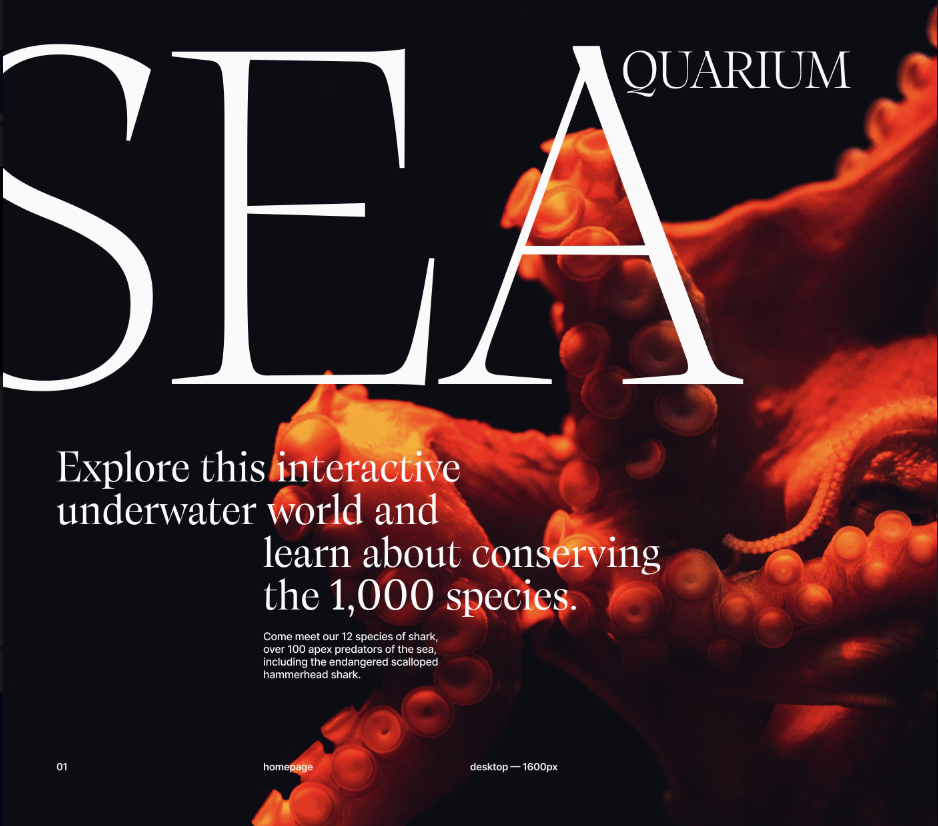 SEA AQUARIUM | Corporate redesign