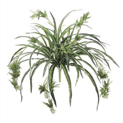 34 inch Artificial Silk Spider Plant Trailing with Baby Spiders