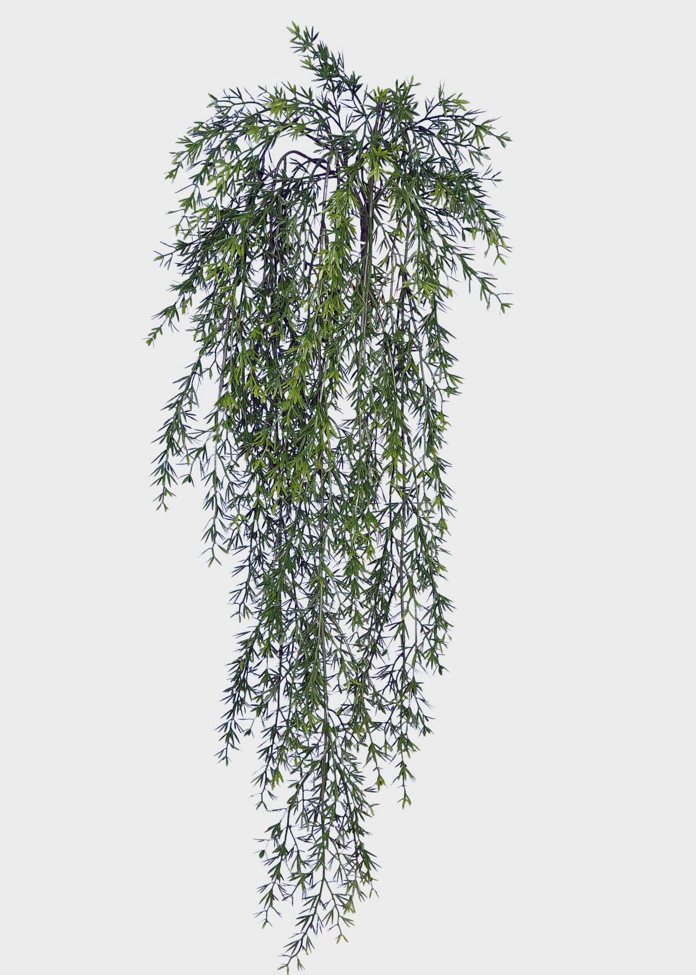 35 inch Artificial PVC Asparagus or Sprengerii Leaf Trailing Bush Vine