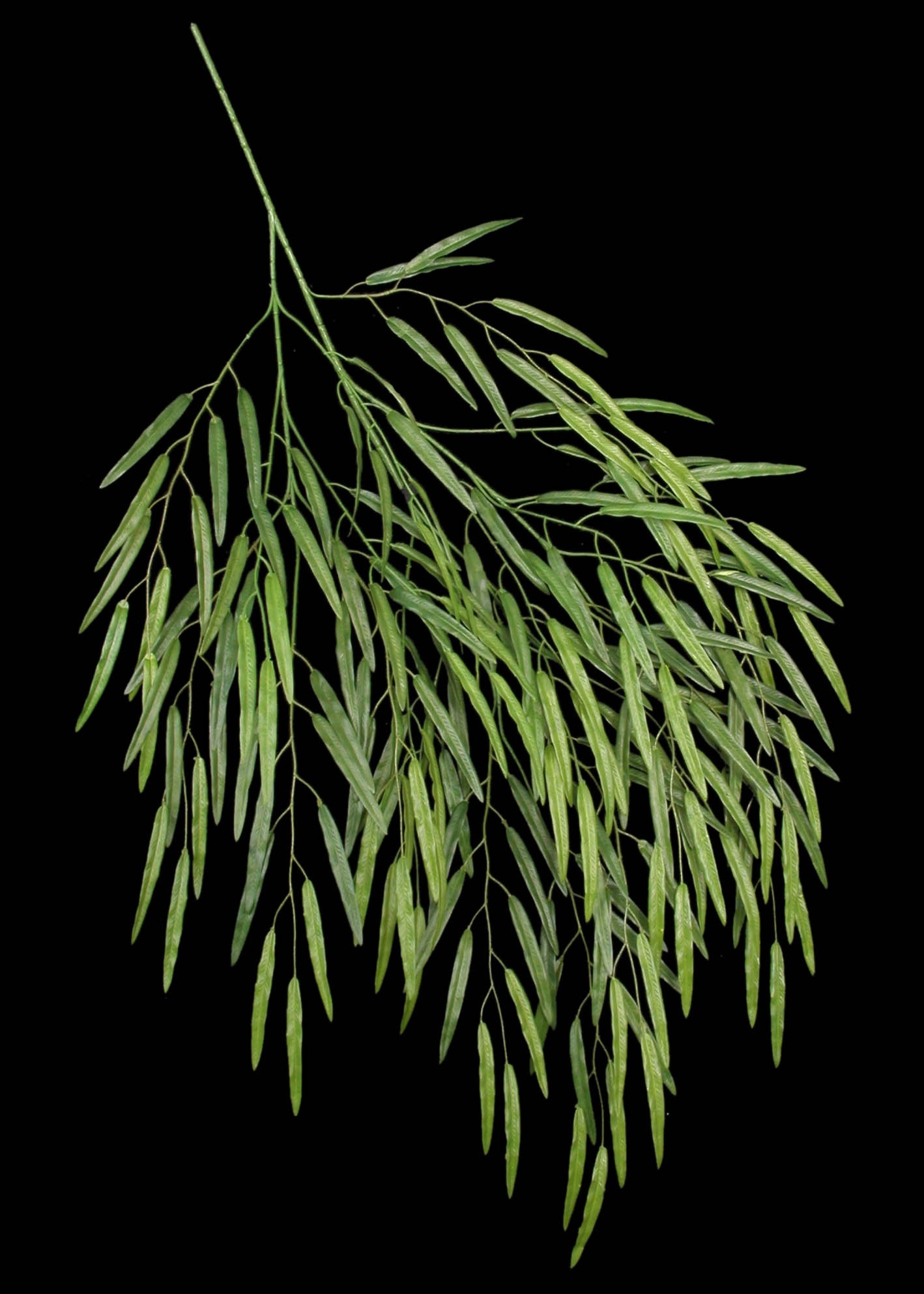 Artificial Silk Weeping Willow Branch