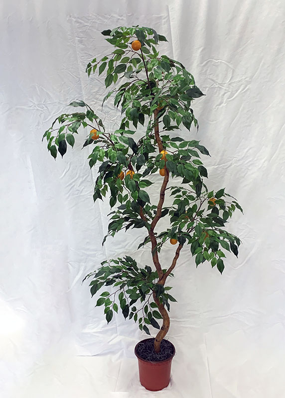 62 inch Artificial Silk Calamondin Orange Tree Custom Made on Natural Wood