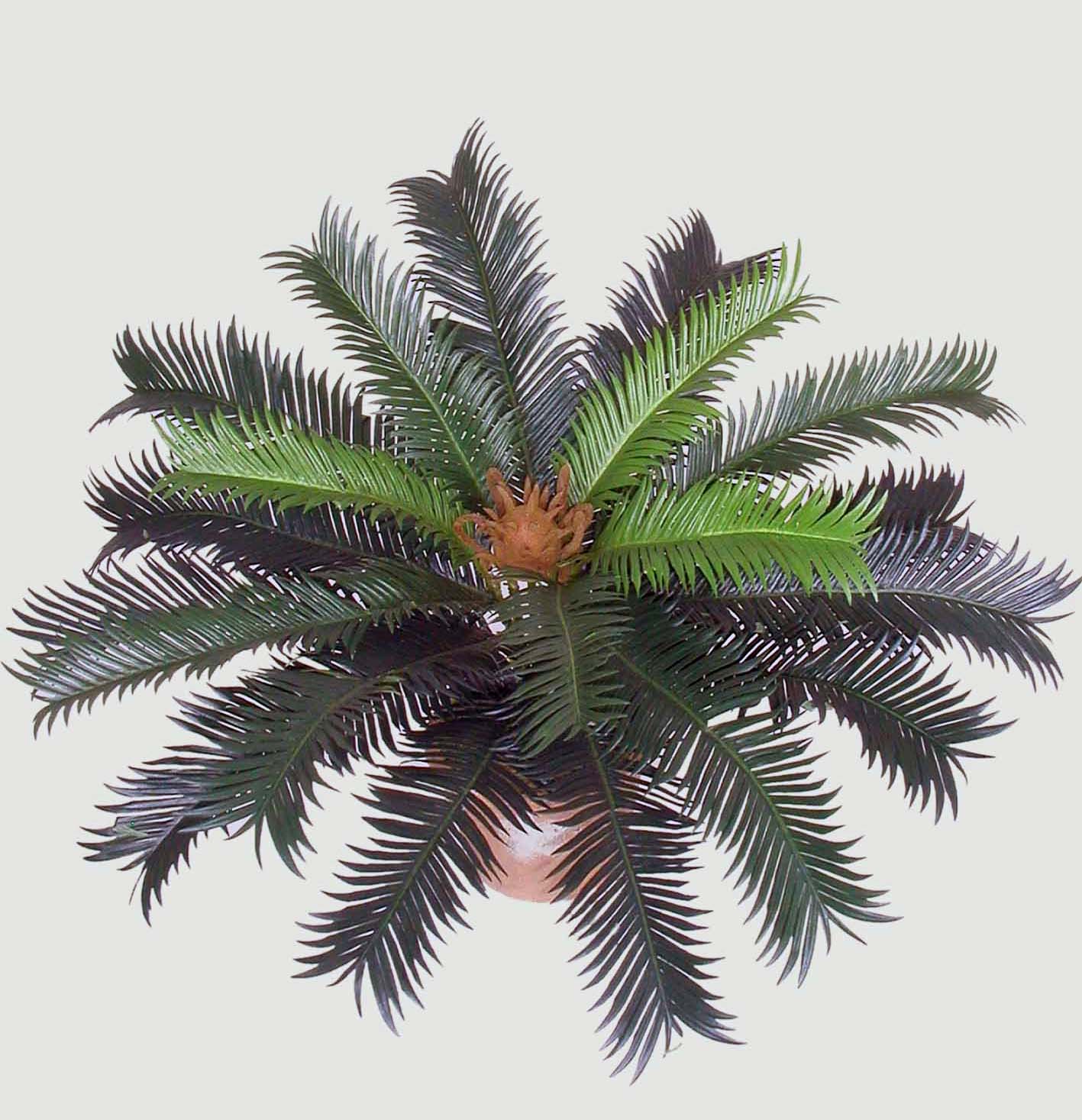 Artificial Silk Sago Palm Bush for Indoor and Outdoor-Silk Plants Canada