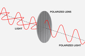 Polarized and photochromic sunglasses?