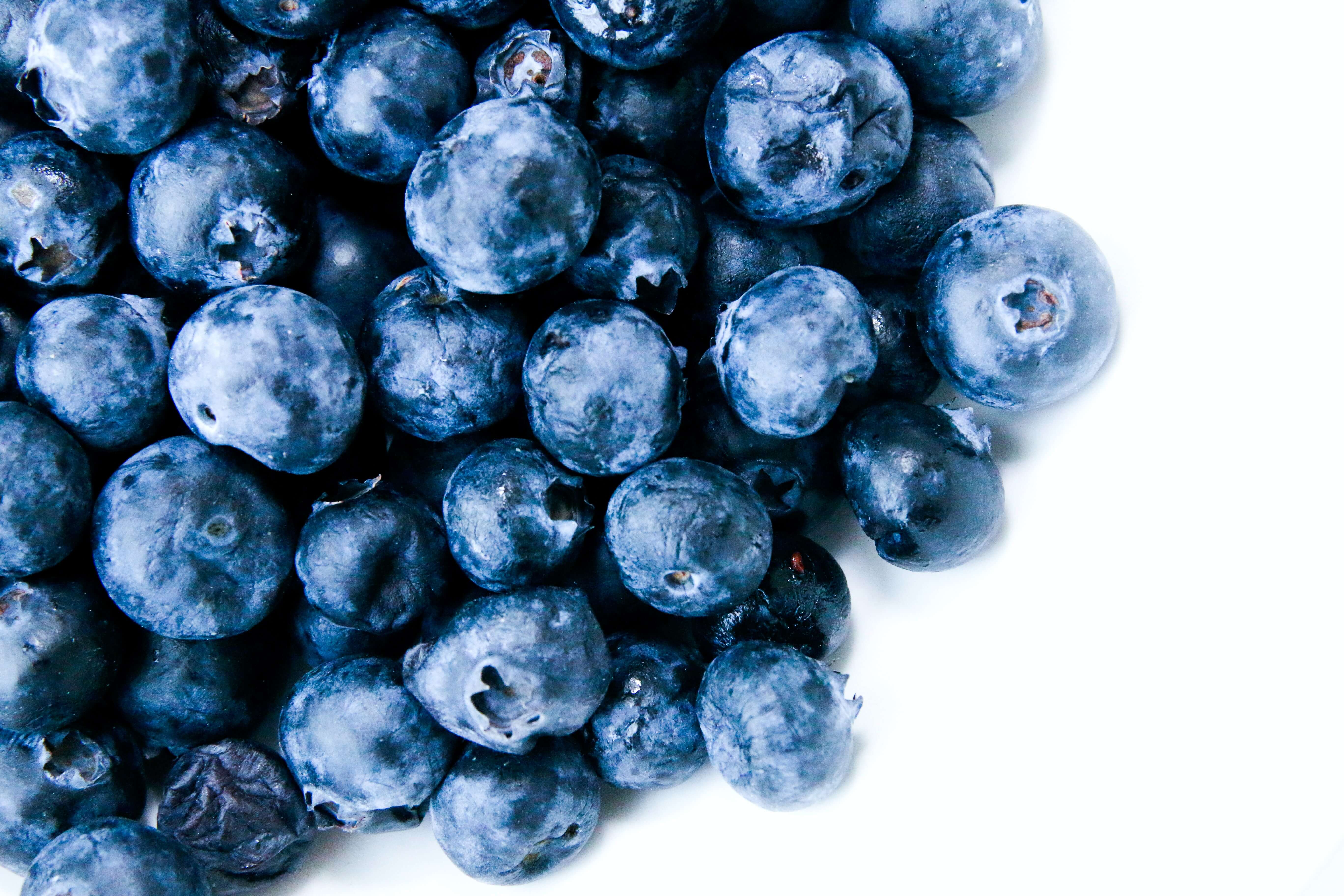 blueberry superfood