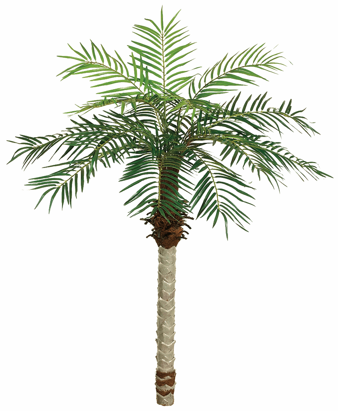 5.5 Foot Artificial Silk Date Palm Tree for Indoor and Outdoor