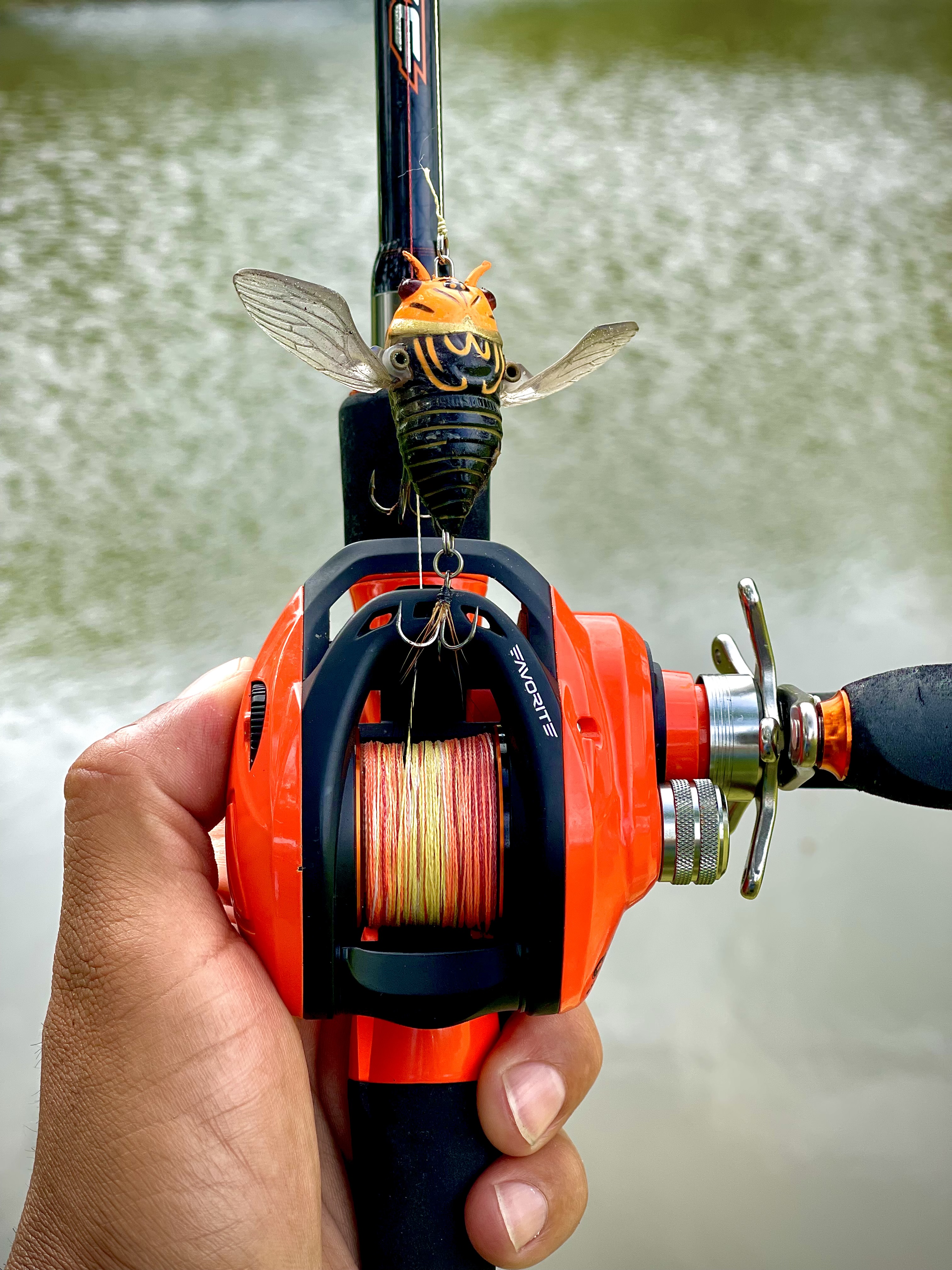 Balance Casting Combo with a Right Handed Reel - Favorite Fishing