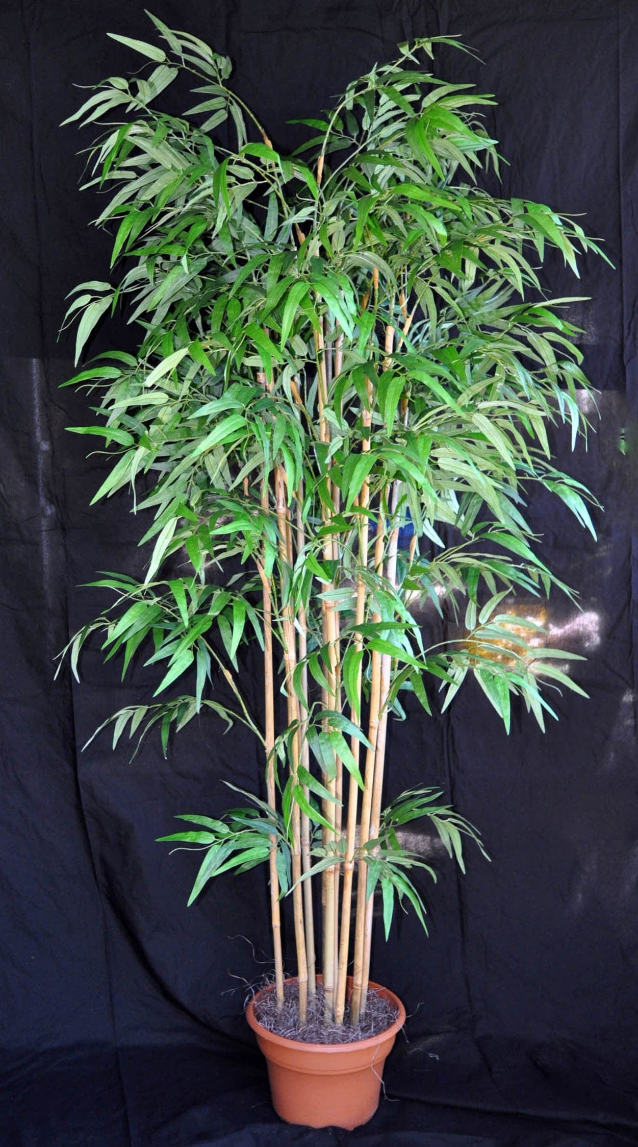 12 Foot Artificial Silk Bamboo Palm Tree Custom Made on Natural Wood