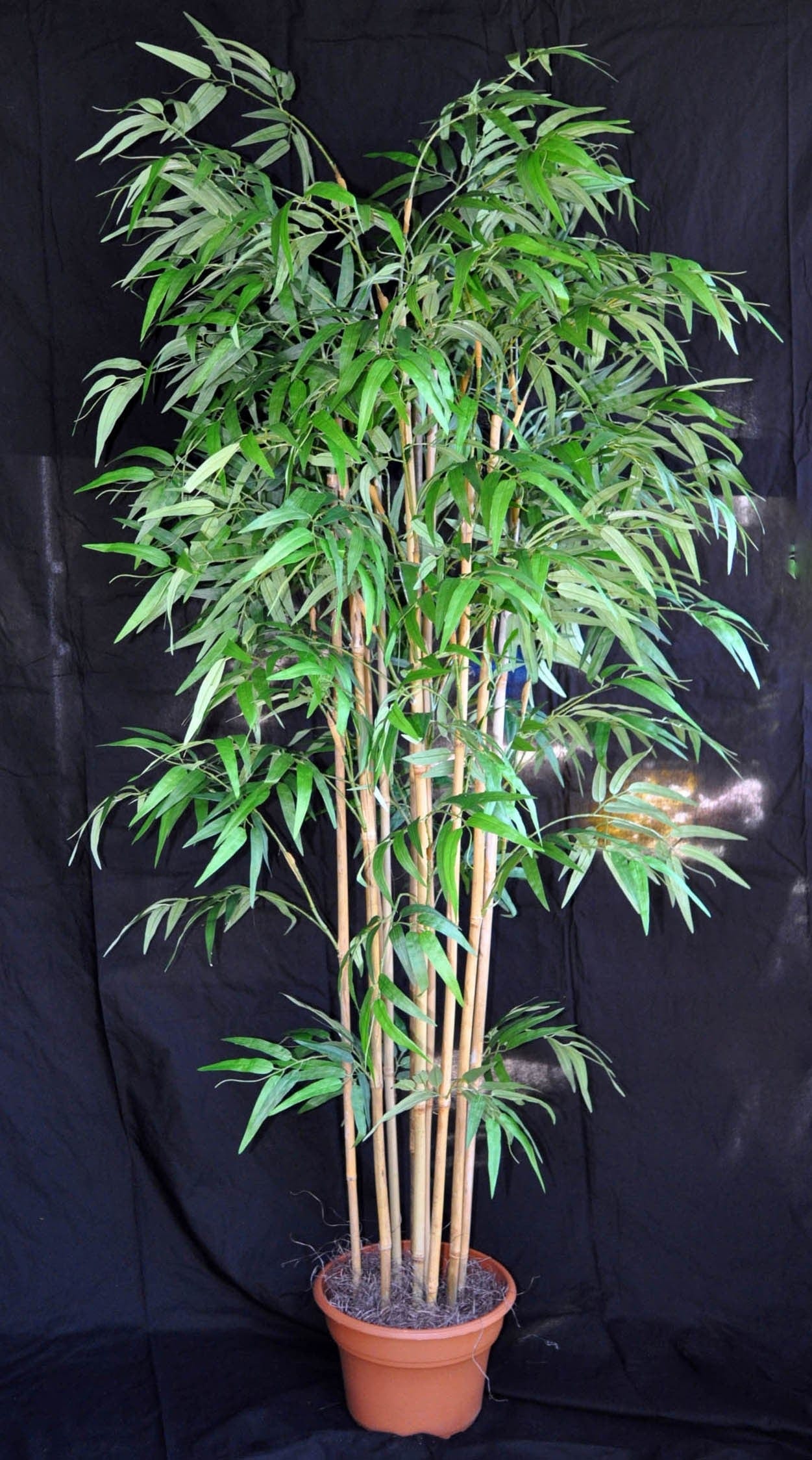 10 Foot Artificial Silk Bamboo Palm Tree Custom Made on Natural Wood