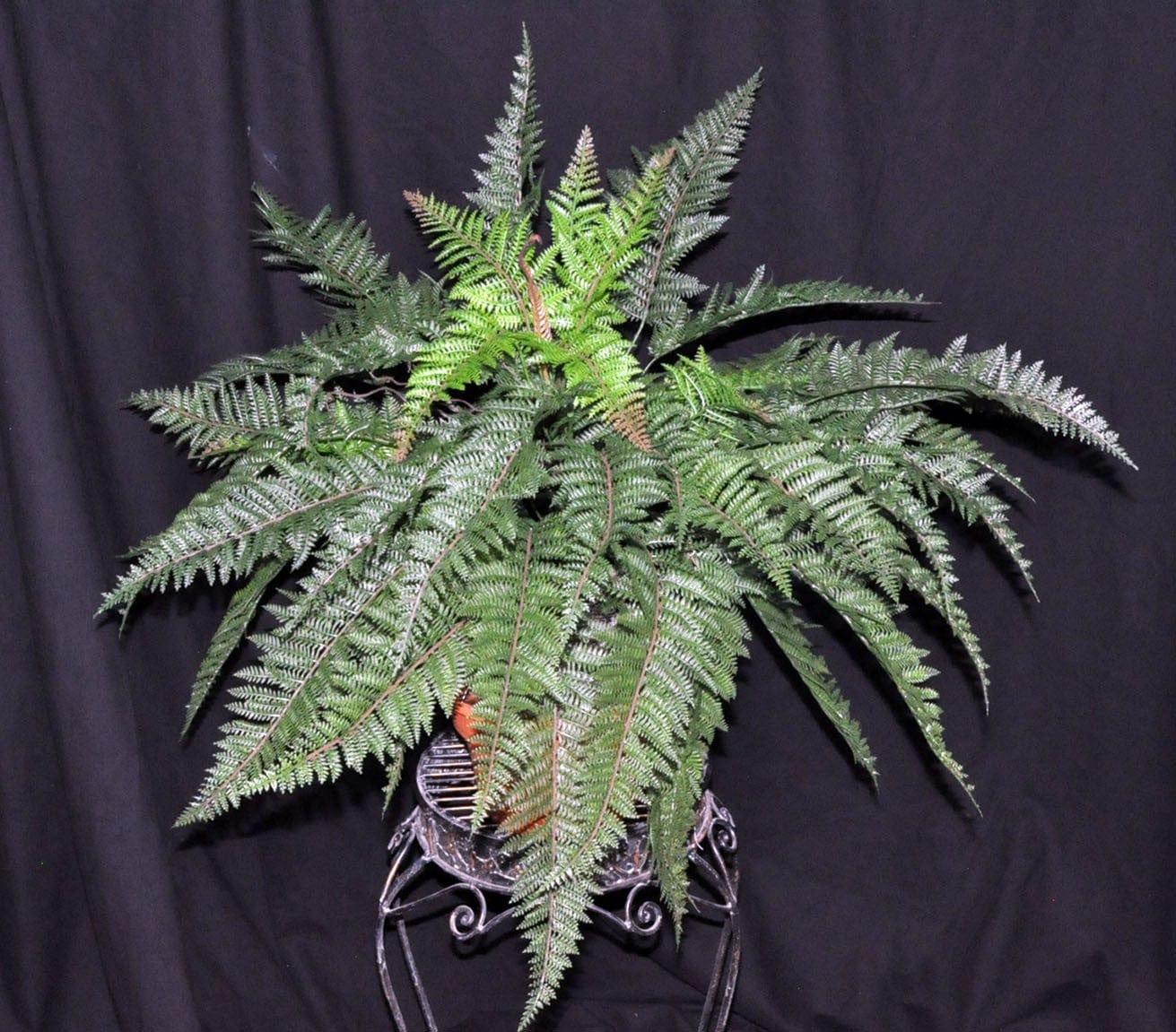 Alternative PVC Mountain Fern for Indoor and Outdoor