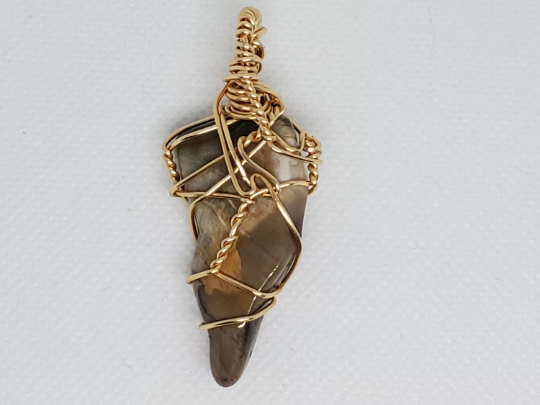 Petrified Wood Wire Wrapped Pendant - Grounding, Strength, Support