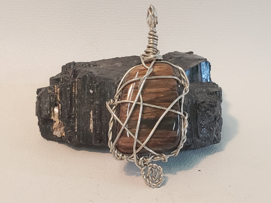 Petrified Wood Wire Wrapped Pendant - Grounding, Strength, Support
