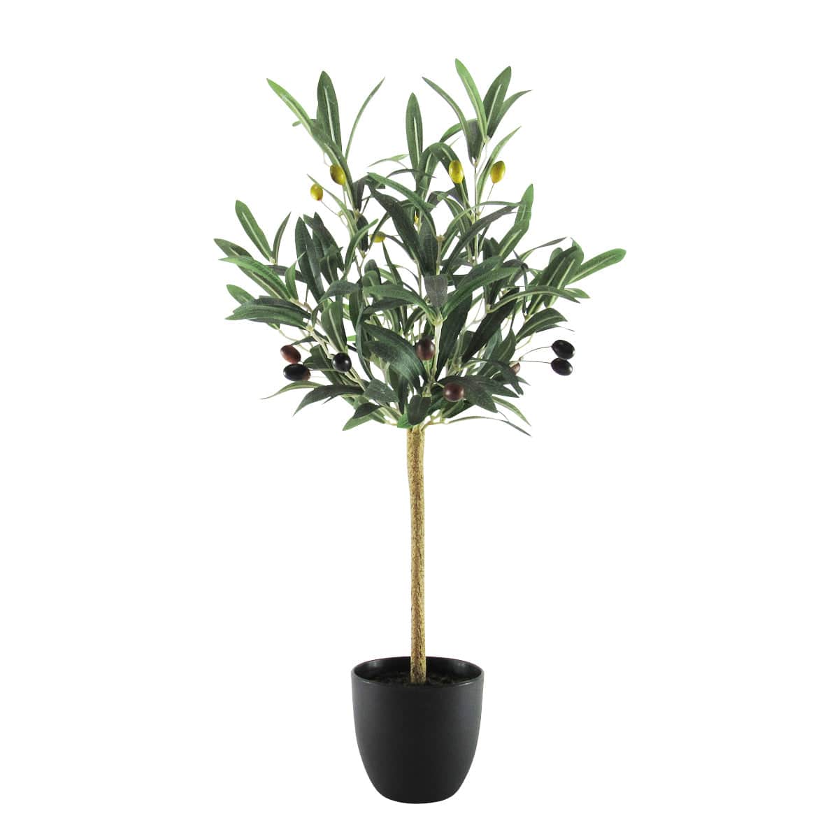 24 inch Mini Olive Tree Potted w Black and Green Olives