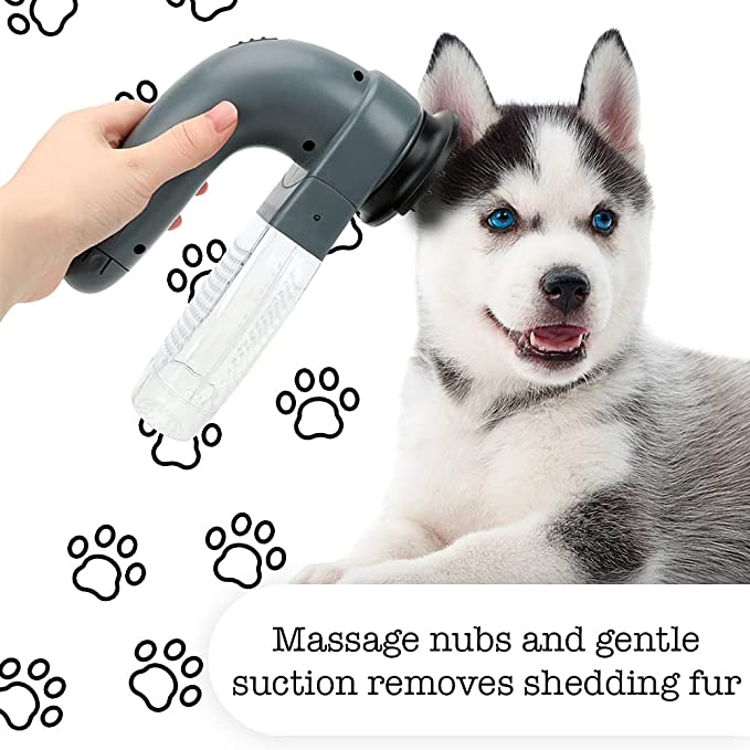 Pet hair remover comb