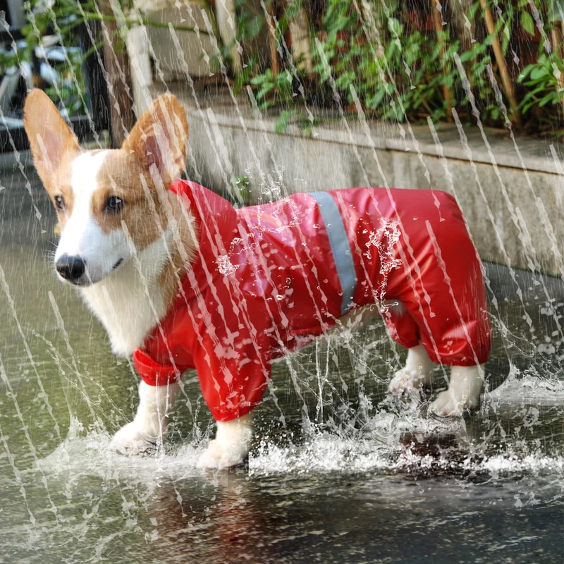 Pet Waterproof Raincoat