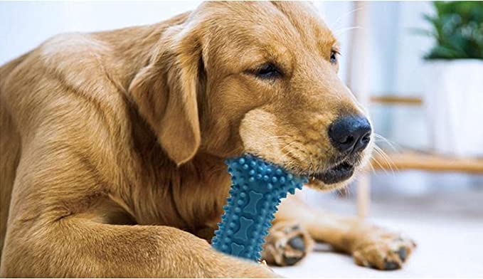 Dog Bone Chewing Toy